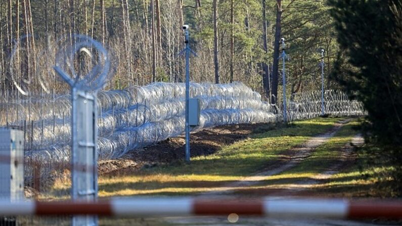 Une clôture en fil de fer barbelé photographiée à la frontière entre la Lituanie et la Biélorussie. (Photo de PETRAS MALUKAS/AFP via Getty Images)
