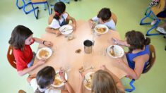 Grenoble: 94% des parents boudent le menu végétarien à la cantine