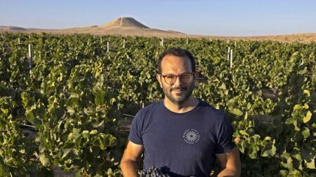 Le désert du Néguev, laboratoire des vins d’une planète en surchauffe