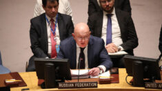Au Conseil de sécurité de l’ONU, la Russie met son veto à la résolution condamnant ses annexions
