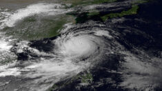 Le « très puissant » typhon Muifa s’approche des îles du sud du Japon