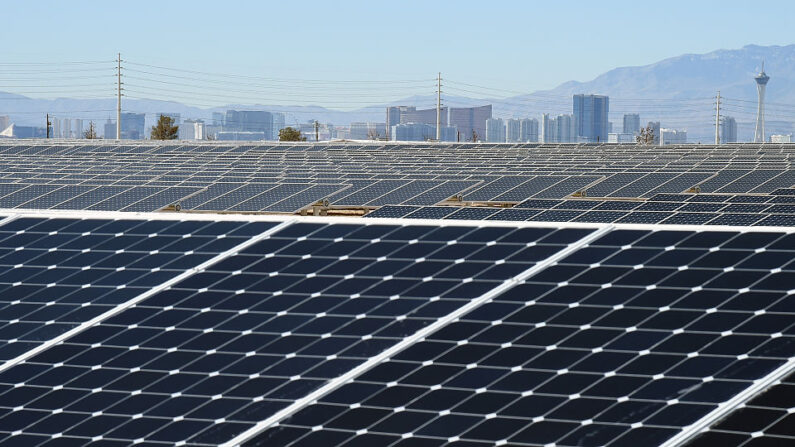Parc solaire à Las Vegas en 2016 (Ethan Miller/Getty Images)