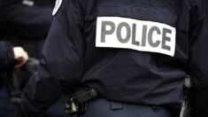 Bijouterie braquée dans le Val-de-Marne: le chien du vigile arrête l’un des voleurs