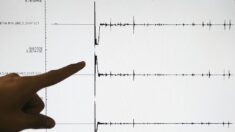 Un séisme de magnitude 4,8 ressenti dans le nord-est de la France