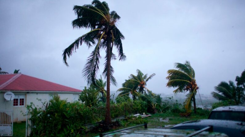 Une photo prise le 19 septembre 2017 montre les vents puissants et les pluies de l'ouragan Maria qui s'abattent sur la ville de Petit-Bourg sur l'île française d'outre-mer des Caraïbes, la Guadeloupe. (Photo by CEDRICK ISHAM CALVADOS/AFP via Getty Images)