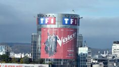 Le groupe Canal+ « renonce » à la diffusion des chaînes du groupe TF1