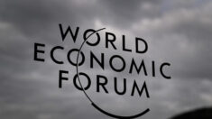 L’ONU et le Forum économique mondial initient une «guerre contre les agriculteurs», expliquent les experts
