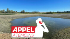 Vandalisme dans l’Indre: l’asséchement sauvage d’un étang piscicole, des centaines de poissons retrouvés morts