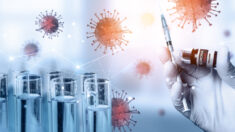 Les protéines spike des infections et des vaccins contribuent aux maladies auto-immunes, indiquent les études