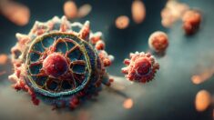 L’apparition d’un nouveau virus soulève la question du bioterrorisme