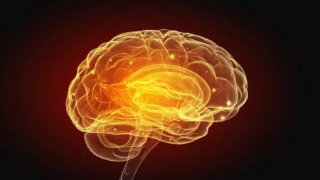 Régénération du cerveau : la lumière infrarouge peut-elle inverser la maladie de Parkinson et d’Alzheimer?