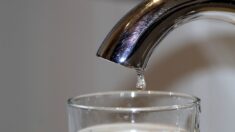 Hauts-de-France: 105 communes placées sous surveillance renforcée pour présence de pesticides dans l’eau du robinet