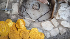 Les archéologues découvrent 44 pièces byzantines en or pur, cachées dans un mur de pierre lors d’une invasion il y a 1400 ans