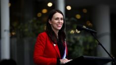 La Première ministre néo-zélandaise veut taxer les pets de vache : quand l’écologisme veut détruire l’élevage