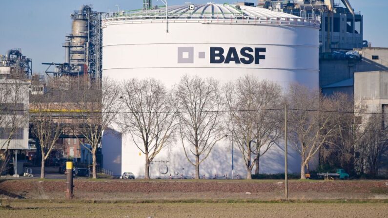 Photo d'illustration - Le chimiste allemand BASF fait partie des 1000 entreprises destinataires de cet appel. (Photo credit: UWE ANSPACH/DPA/AFP via Getty Images)