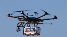 Une banlieue privée d’électricité après qu’un drone de livraison percute une ligne électrique