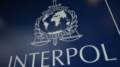 Cybercriminalité: Interpol intercepte 130 millions de dollars au cours d’une opération d’envergure