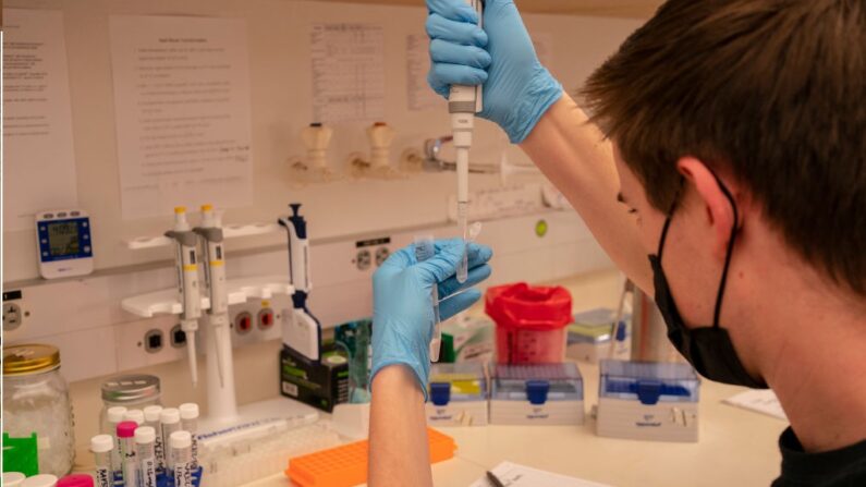 Laborantin travaillant sur le développement d’un vaccin Covid, , le 10 mai 2022 à Seattle, Washington. (David Ryder/Getty Images)