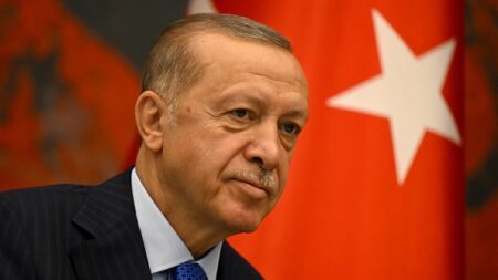 La loi turque punira de prison la divulgation de « fausses nouvelles »