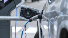 BlackRock et le gouvernement américain s’unissent pour forcer la transition vers les véhicules électriques
