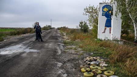Ukraine: les démineurs s’acharnent pour nettoyer les zones libérées avant l’hiver