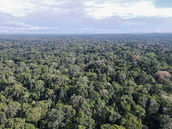 Une vue du Parc National de Campo Ma'an, où 500 gorilles, 300 éléphants, mandrills, pangolins, serpents boa, buffles vivent au Cameroun, le 11 octobre 2022. Photo de Daniel BELOUMOU OLOMO/AFP via Getty Images.