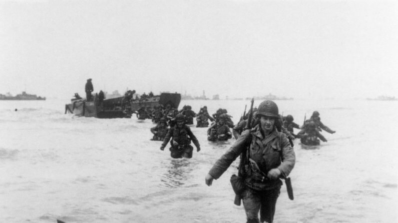 Des renforts américains de la 4ème division d'infanterie ("Famous fourth") débarquent à Utah Beach, sur la côte normande, le 06 juin 1944, lors du débarquement allié en Normandie durant la seconde guerre mondiale. 
(Crédit photo STF/AFP via Getty Images)