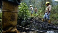 Equateur: une fuite d’un oléoduc de pétrole contamine une rivière en Amazonie