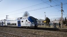 Haute-Marne : percutée par un train, une étudiante décède