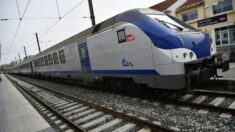 La SNCF reconnue coupable et condamnée: la faute au gaspillage de l’argent public