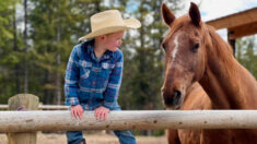 [VIDÉO] Un cowboy de 4 ans apprend les leçons de vie avec sa belle jument du nom de Willow