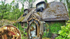 [PHOTOS] Un homme transforme une étable en maison de hobbit tout droit sortie du «Seigneur des anneaux»