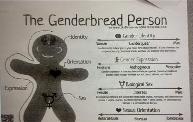 Une illustration encourageant les enfants à considérer le genre comme un ensemble de choix distribuée par le lycée de Gorham dans le Maine. (Avec l'aimable autorisation de HB)