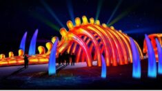 Bordeaux: le Parc Bordelais va s’enrichir de 400 sculptures écologiquement lumineuses