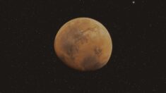 Espace: la Nasa annonce la découverte d’un cratère de météorite sur Mars