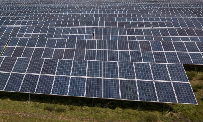Ferme solaire Sycamore Farm, à Old Romeny, dans le sud-est de l'Angleterre, le 18 avril 2022. (Ben Stansall /AFP via Getty Images)