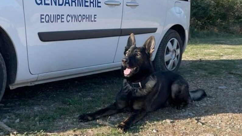 Crédit photo : Gendarmerie du Gard