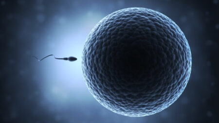 Étude : le nombre de spermatozoïdes chez les hommes a diminué de 60% au niveau mondial au cours des 45 dernières années
