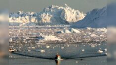 Les ressources du Groenland, entre protection de l’environnement et tentation du profit