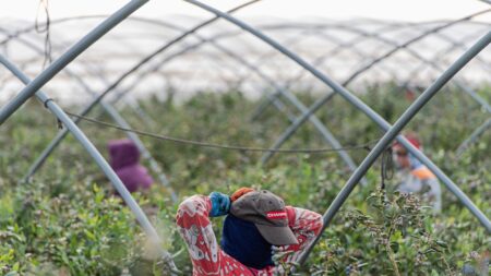Portugal: 35 personnes arrêtées pour trafic de travailleurs migrants