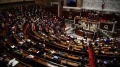 « Qu’ils retournent en Afrique »: séance suspendue à l’Assemblée, un député RN menacé de sanction après des accusations de « racisme »