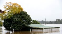 Inondations en Australie: plus de 100 personnes secourues sur les toits
