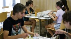Bretagne : les étudiants ont faim, le Crous leur sert des portions «insuffisantes»