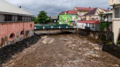 Inondations et glissements de terrain dus aux fortes pluies en Guadeloupe et Martinique