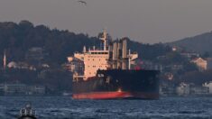Six cargos chargés de céréales ont quitté jeudi matin les ports ukrainiens, annonce le ministère turc de la Défense