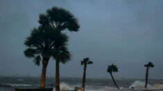 États-Unis: la tempête tropicale Nicole frappe la Floride