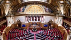 Budget 2022: le Sénat donne un dernier feu vert à une rallonge anti-inflation de  2,5 milliards d’euros