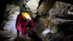 Après plus de 24 heures de sauvetage, un spéléologue est évacué d’une grotte dans l’Hérault