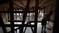 Des bénévoles sauvent l’une des dernières maisons alsaciennes du 16e siècle en la démontant, pour la reconstruire ailleurs
