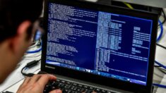 La région Guadeloupe victime d’une cyber-attaque « de grande ampleur »